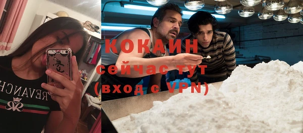 стафф Армянск