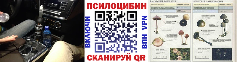 Псилоцибиновые грибы Psilocybine cubensis  Ртищево 